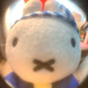 Meet your Posher, Lyla